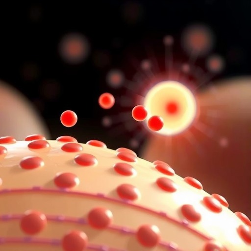 一文搞懂烟酰胺美白原理：从黑色素“运输链”下手才是真变白 - ��ý���鱨��վ