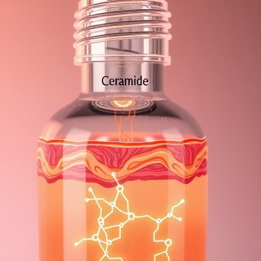 一文搞懂神经酰胺修护作用：2026年把屏障养回来的实战地图 - ��ý���鱨��վ