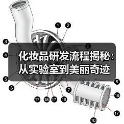 化妆品研发流程揭秘:从实验室到美丽奇迹(图1) 化妆品研发流程揭秘:从实验室到美丽奇迹(图1)