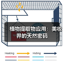 植物提取物应用:美妆界的天然密码(图3) 植物提取物应用:美妆界的天然密码(图3)