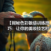 【揭秘色彩敏感训练技巧：让你的美妆技艺秒升 Level 100】(图2)
