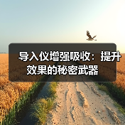 导入仪增强吸收：提升效果的秘密武器(图3)