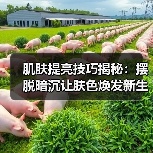 肌肤提亮技巧揭秘:摆脱暗沉让肤色焕发新生(图3) 肌肤提亮技巧揭秘:摆脱暗沉让肤色焕发新生(图3)