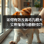 如何有效改善毛孔粗大：实用指南与最新技巧(图1)