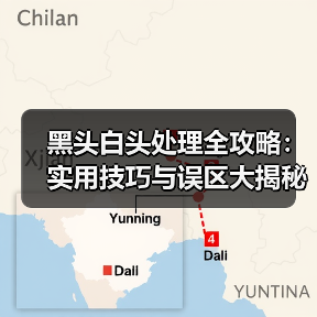 黑头白头处理全攻略:实用技巧与误区大揭秘(图3) 黑头白头处理全攻略:实用技巧与误区大揭秘(图3)