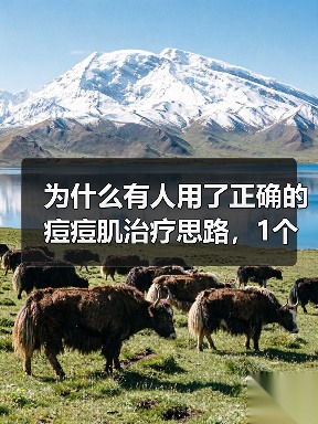 为什么有人用了正确的痘痘肌治疗思路,1个月内皮肤变得光滑细腻?你是否觉得目前的痘痘护理方案总是收效甚微?实际上,要根除痘痘,不能只追求表面修复,而是要从根源入手(图2) 为什么有人用了正确的痘痘肌治疗思路,1个月内皮肤变得光滑细腻?你是否觉得目前的痘痘护理方案总是收效甚微?实际上,要根除痘痘,不能只追求表面修复,而是要从根源入手(图2)