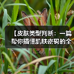 【皮肤类型判断:一篇帮你搞懂肌肤密码的全面指南】(图3) 【皮肤类型判断:一篇帮你搞懂肌肤密码的全面指南】(图3)