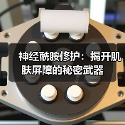 神经酰胺修护:揭开肌肤屏障的秘密武器(图2) 神经酰胺修护:揭开肌肤屏障的秘密武器(图2)