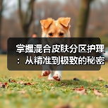 掌握混合皮肤分区护理：从精准到极致的秘密