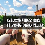皮肤类型判断全攻略:科学解析你的肤质之谜(图1) 皮肤类型判断全攻略:科学解析你的肤质之谜(图1)