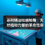 茶树精油祛痘秘籍:天然植物力量的革命性突破(图3) 茶树精油祛痘秘籍:天然植物力量的革命性突破(图3)