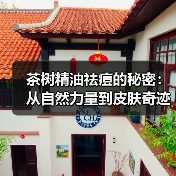 茶树精油祛痘的秘密：从自然力量到皮肤奇迹