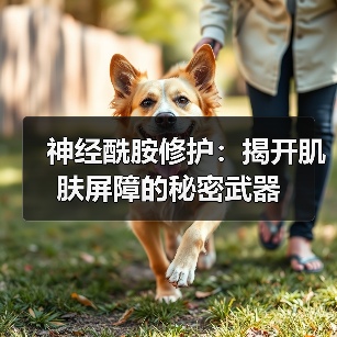 神经酰胺修护:揭开肌肤屏障的秘密武器(图2) 神经酰胺修护:揭开肌肤屏障的秘密武器(图2)