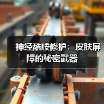 神经酰胺修护:皮肤屏障的秘密武器(图1) 神经酰胺修护:皮肤屏障的秘密武器(图1)