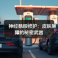 神经酰胺修护:皮肤屏障的秘密武器(图3) 神经酰胺修护:皮肤屏障的秘密武器(图3)