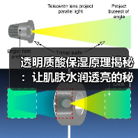 透明质酸保湿原理揭秘：让肌肤水润透亮的秘密武器(图4)