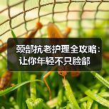 颈部抗老护理全攻略：让你年轻不只脸部(图2)
