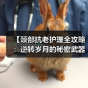 【颈部抗老护理全攻略：逆转岁月的秘密武器
