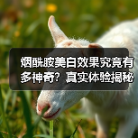 烟酰胺美白效果究竟有多神奇?真实体验揭秘(图2) 烟酰胺美白效果究竟有多神奇?真实体验揭秘(图2)