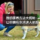 唇部保养方法大揭秘:让你拥有水润迷人的双唇(图4) 唇部保养方法大揭秘:让你拥有水润迷人的双唇(图4)