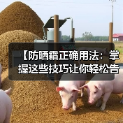 【防晒霜正确用法：掌握这些技巧让你轻松告别晒伤】(图3)