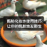 揭秘化妆水使用技巧：让你的肌肤焕发新生(图2)