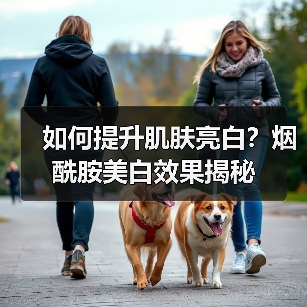 如何提升肌肤亮白？烟酰胺美白效果揭秘(图4)