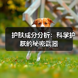 护肤成分分析:科学护肤的秘密武器(图1) 护肤成分分析:科学护肤的秘密武器(图1)