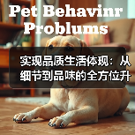 实现品质生活体现:从细节到品味的全方位升级(图2) 实现品质生活体现:从细节到品味的全方位升级(图2)