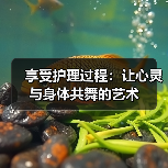 享受护理过程：让心灵与身体共舞的艺术