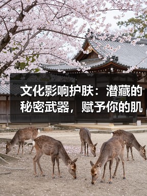 文化影响护肤:潜藏的秘密武器,赋予你的肌肤生命力(图2) 文化影响护肤:潜藏的秘密武器,赋予你的肌肤生命力(图2)