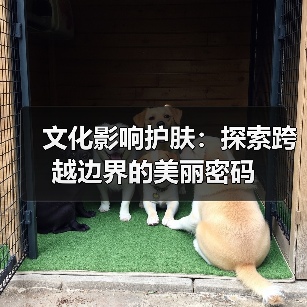 文化影响护肤：探索跨越边界的美丽密码