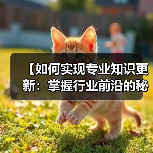 【如何实现专业知识更新：掌握行业前沿的秘诀】(图3)