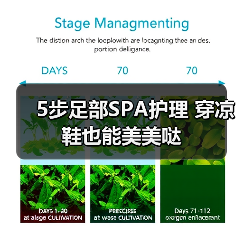 5步足部SPA护理 穿凉鞋也能美美哒(图3)