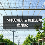 5种天然方法有效去除鱼尾纹(图2)