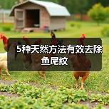 5种天然方法有效去除鱼尾纹(图4)