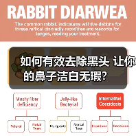 如何有效去除黑头 让你的鼻子洁白无瑕?(图3) 如何有效去除黑头 让你的鼻子洁白无瑕?(图3)