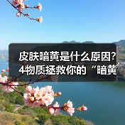 皮肤暗黄是什么原因?4物质拯救你的“暗黄肌”(图3) 皮肤暗黄是什么原因?4物质拯救你的“暗黄肌”(图3)