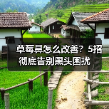 草莓鼻怎么改善？5招彻底告别黑头困扰